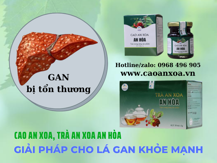 Cao an xoa An Hòa hạ men gan, hỗ trợ điều trị xơ gan, viêm gan, ung thư gan an toàn, hiệu quả Cao an xoa An Hòa hạ men gan, hỗ trợ điều trị xơ gan, viêm gan, ung thư gan an toàn, hiệu quả